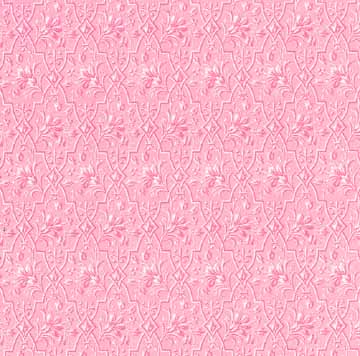 12x12 Dorothy Pink Feather